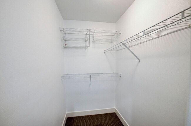 Building Photo - Amazing LARGE home in Ladera Ranch!