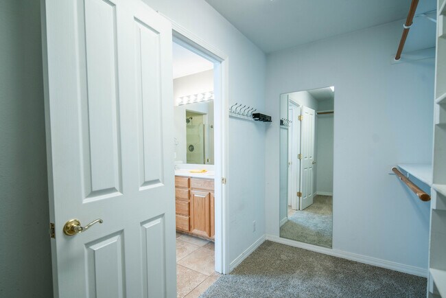 Building Photo - Beautiful Walnut Ridge Home!