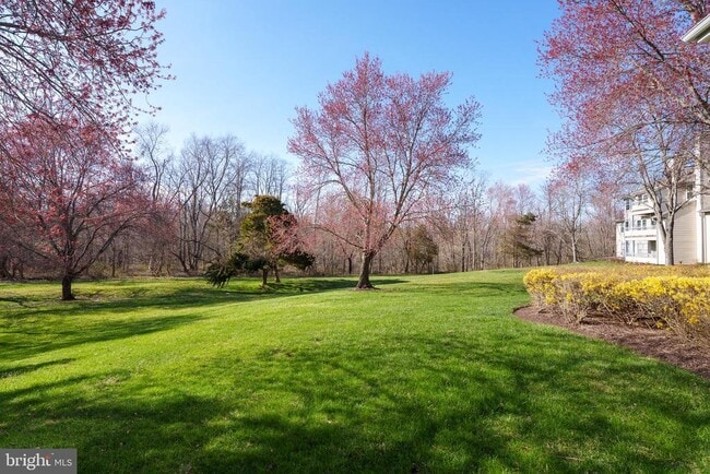 Building Photo - 206 Salem Ct