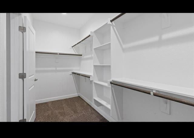 Building Photo - 2320 Monoceros Dr