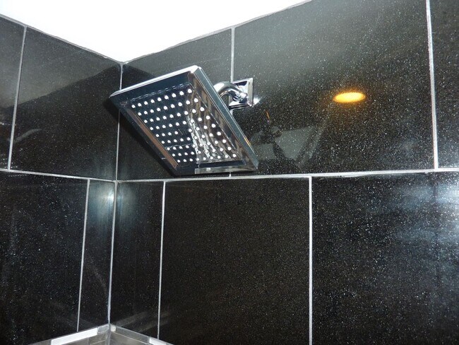 Building Photo - Premium One-Bedroom Condo Near UTK – Walk to Class, Law School & Neyland Stadium