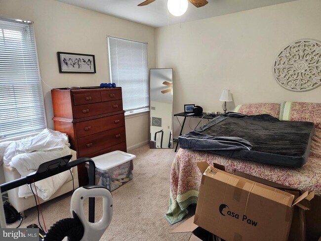 Building Photo - 5 Harlech Dr