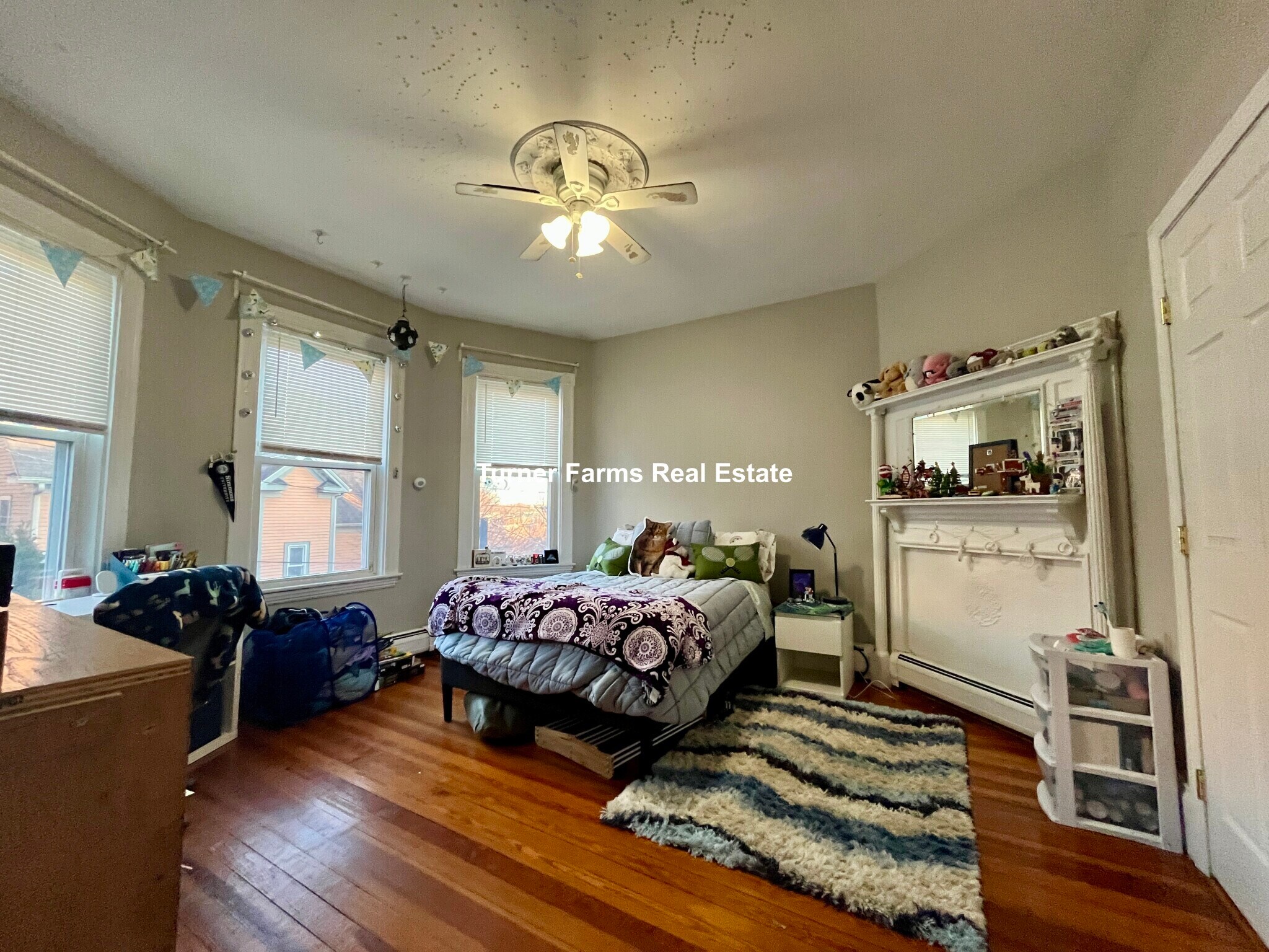 Building Photo - 12 Bucknam St