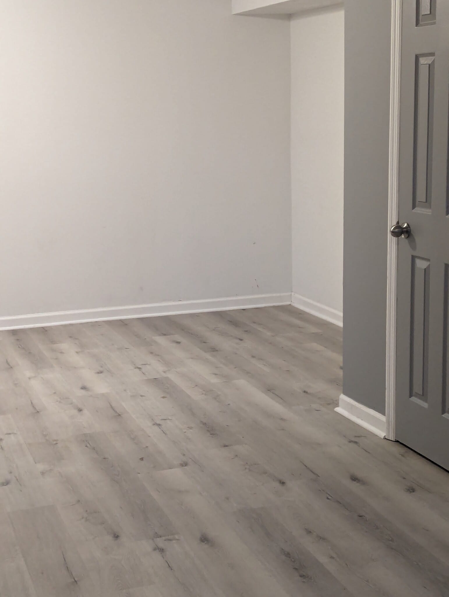 Basement/Bedroom - 1075 Raintree Dr