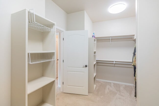 Building Photo - Modern 4 Bed 3 Bath - Pets Allowed!
