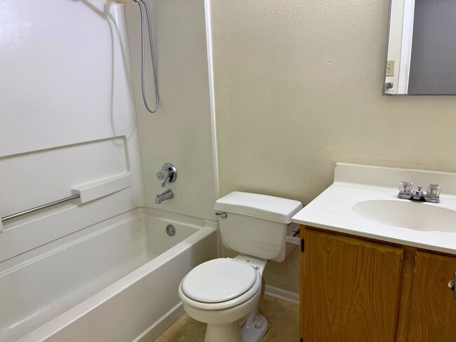Building Photo - Charming 3 Bedroom Home with Fireplace in Meadow Brook Converse