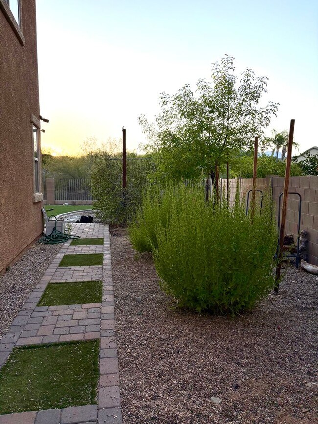Building Photo - Stunning 2 story home in Oro Valley!!