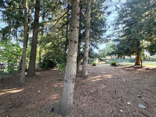 Building Photo - Fully updated 4 bedroom Federal Way home