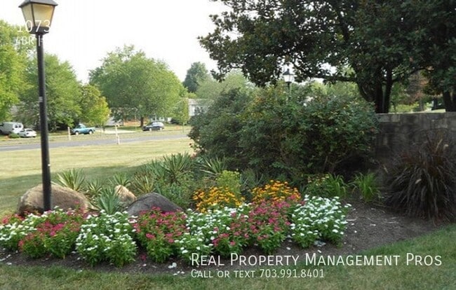 Building Photo - 1073 Temple Ct