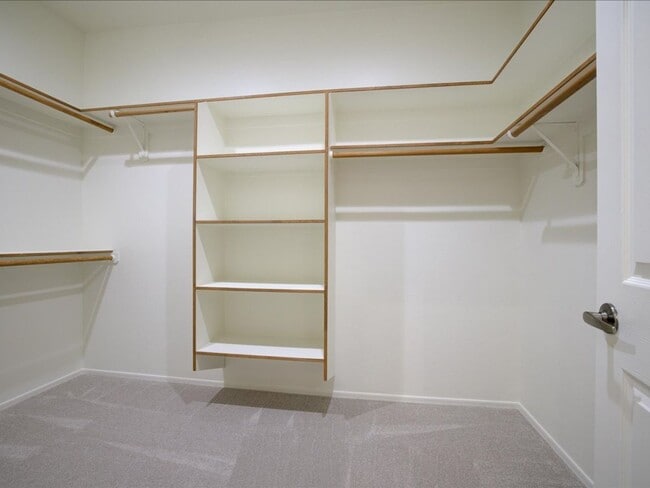 Building Photo - 4 Bedroom 4 Bathroom