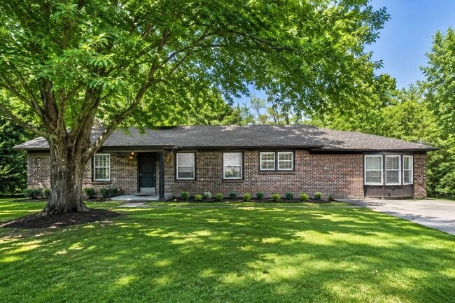 Building Photo - 905 Lynn Dale Ln