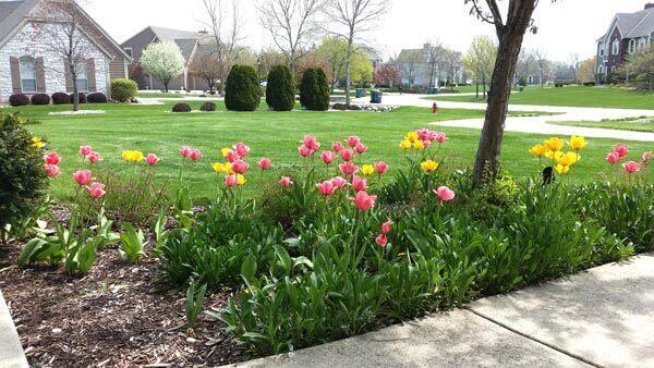 Building Photo - 5432 W Burning Bush Ln