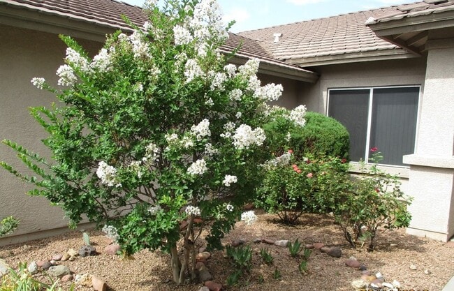 Building Photo - Unfurnished, 1-year long-term rental