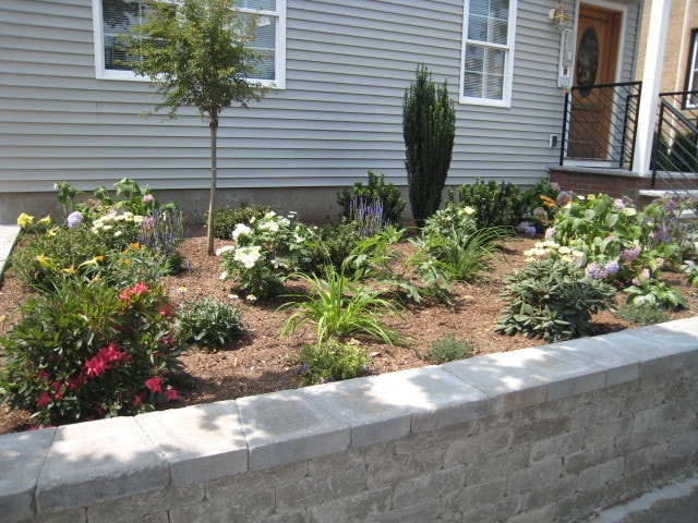 Building Photo - 220 Massachusetts Ave