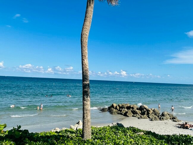 Building Photo - 1237 Hillsboro Mile