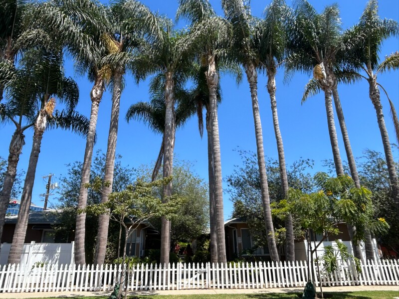 Building Photo - 2226 S Carmelina Ave