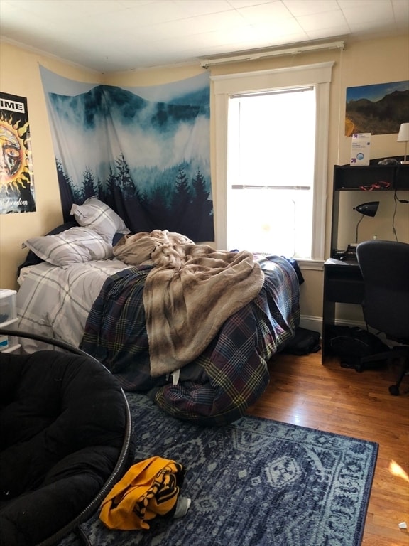 Building Photo - 23 Frawley St