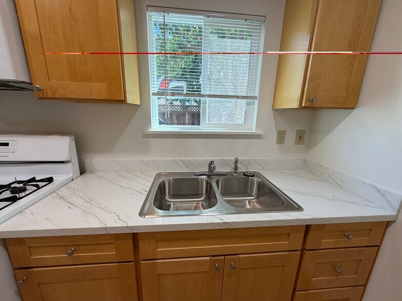 granite counters with stainless sink and garbage disposal - 136 Pryce St
