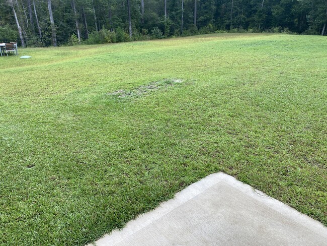 Building Photo - 423 High Ridge Ct