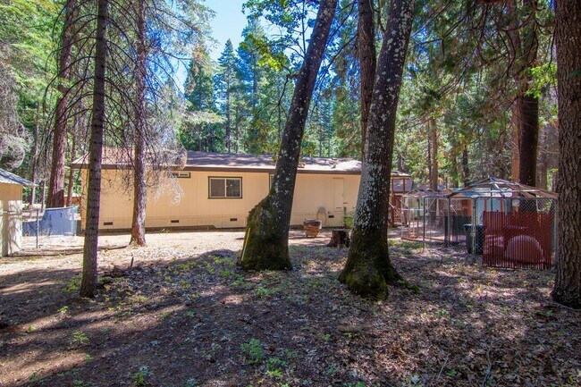 Building Photo - Furnished Shingletown Home with Horse Corral, Huge Fenced Back Yard and Chicken Coop!