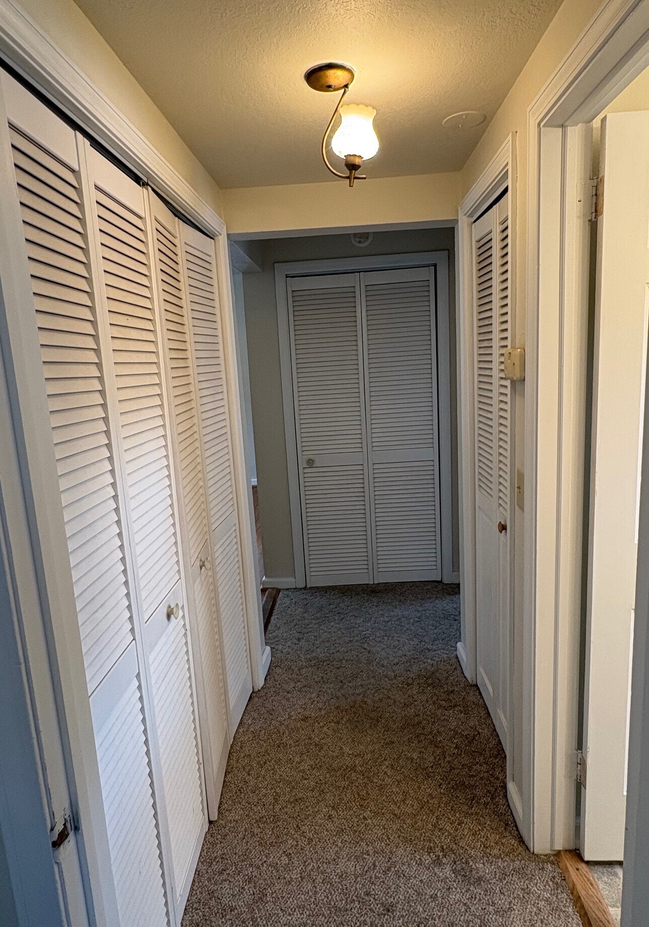 Building Photo - 1018 Pearl St