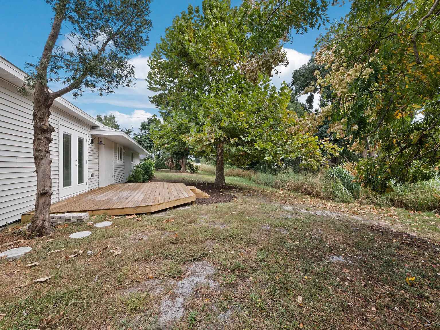 Rear Yard - 3142 Rose St
