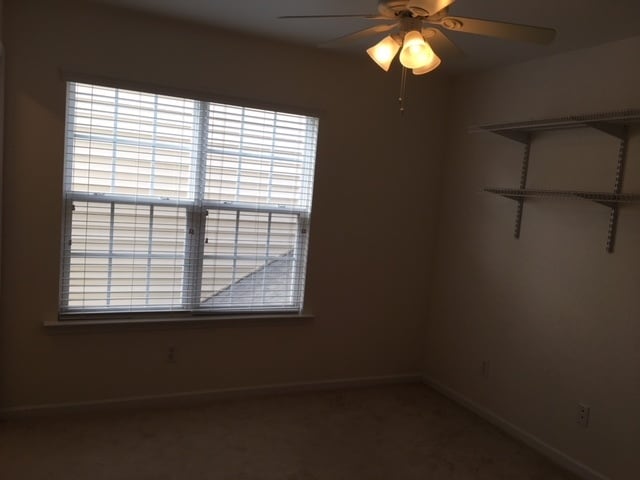 Building Photo - 255 Joshua Glen Ln