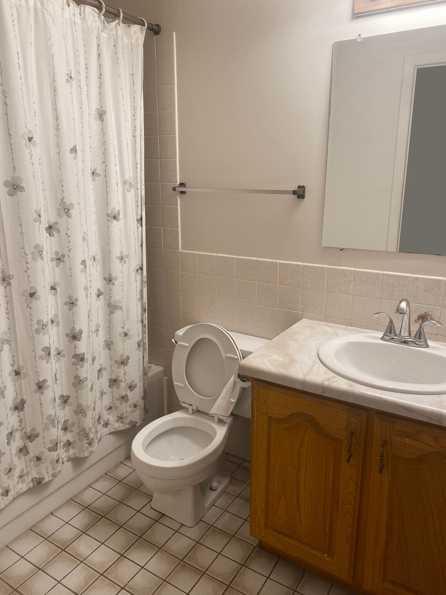 Second bathroom - 10129 S 2165 E