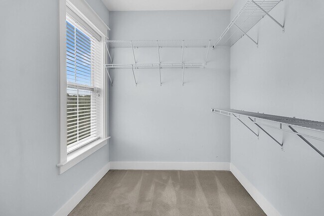 Building Photo - Gorgeous Carolina Park Home on a Corner Lot