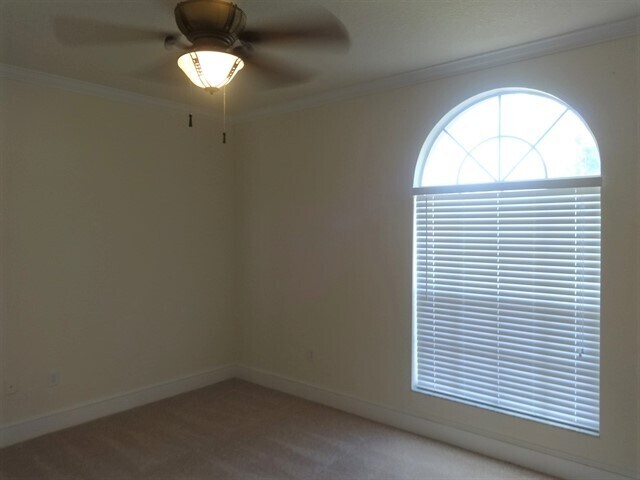 Building Photo - 816 Elm Forest Dr