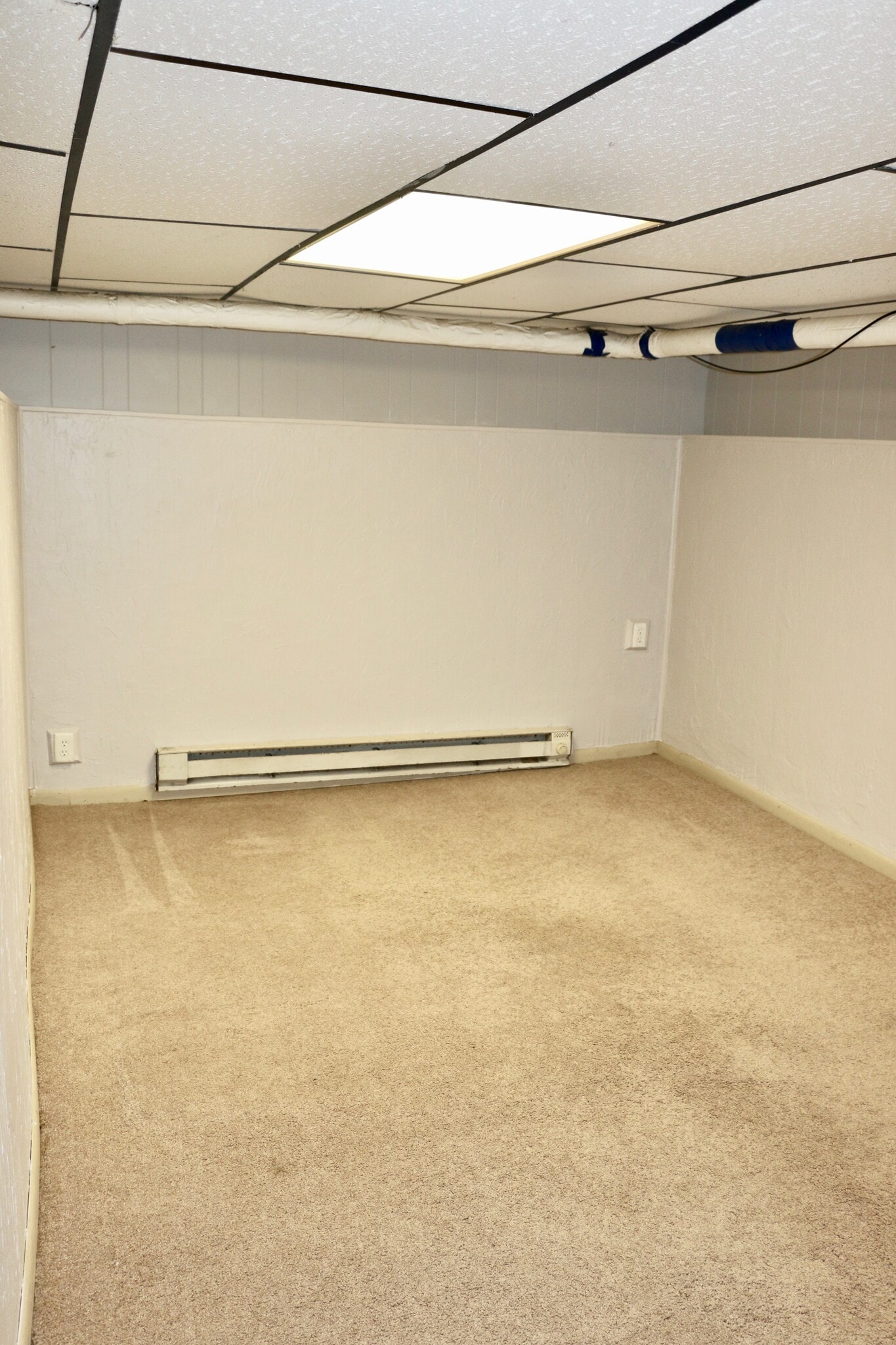 Basement - 303 W Pleasant St