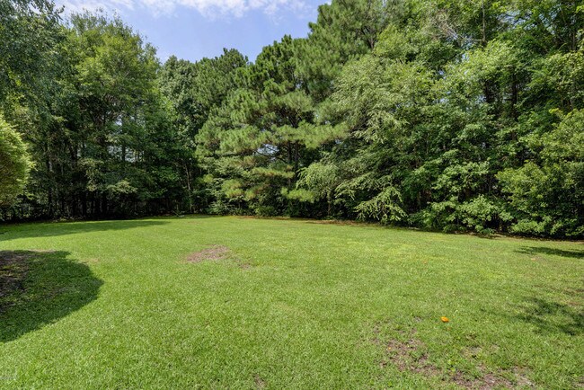 Building Photo - 203 Wagon Wheel Way