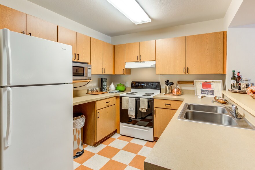 Campus Lodge Tampa Per Bed Leases Lutz Fl Apartment Finder