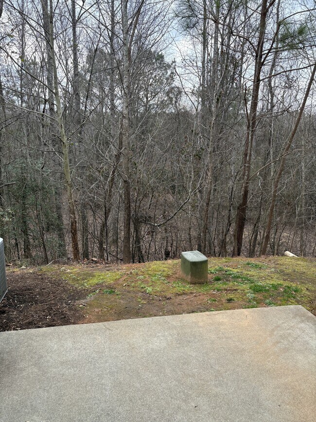 Building Photo - 3605 Landshire View Lane