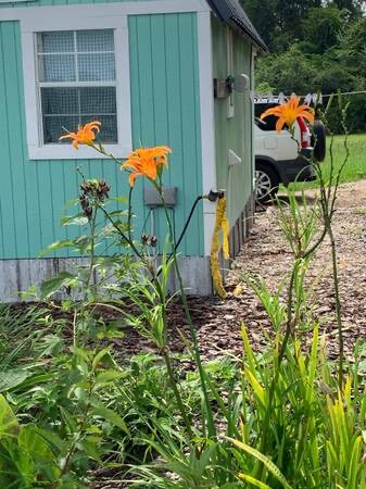 Building Photo - 26364 AL-41