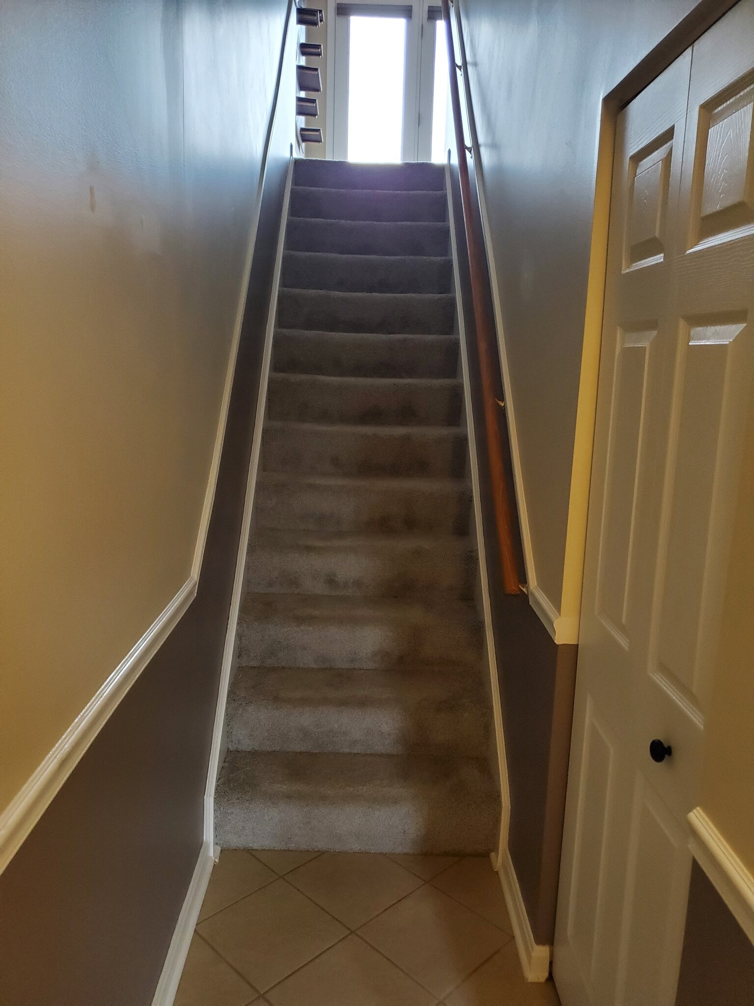 Entrance Stairs - 135 Westbrooke Ln