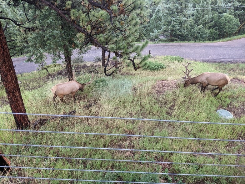 Building Photo - 22517 Shawnee Rd