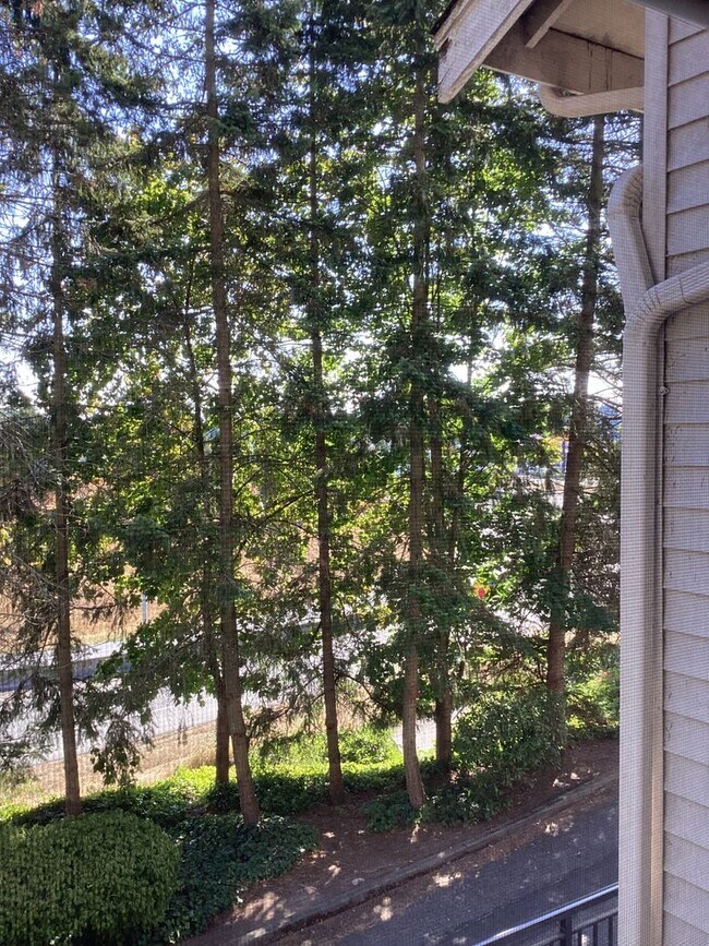 Building Photo - Charming Edmonds Condo with Two Garages and Modern Comforts