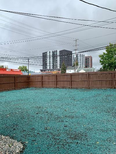 Back Yard - 133 Milford St