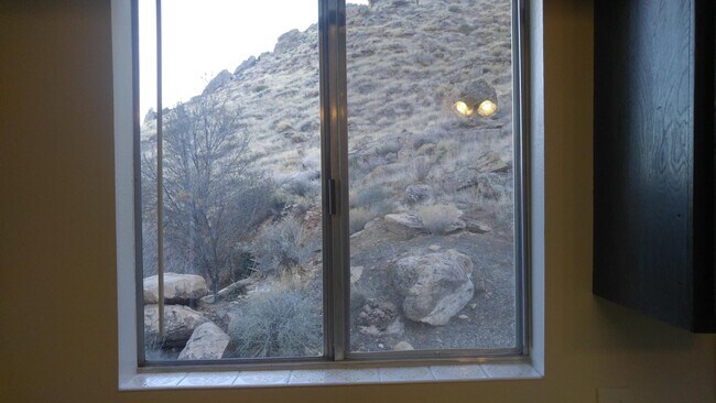 Building Photo - 1545 Montezuma Cir