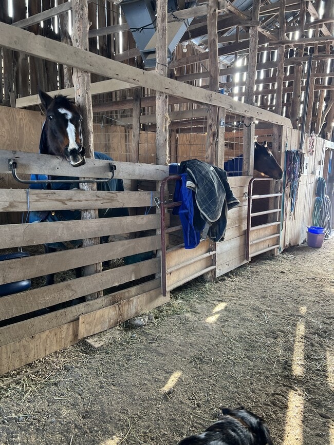 Building Photo - 1557 Clifton Rd