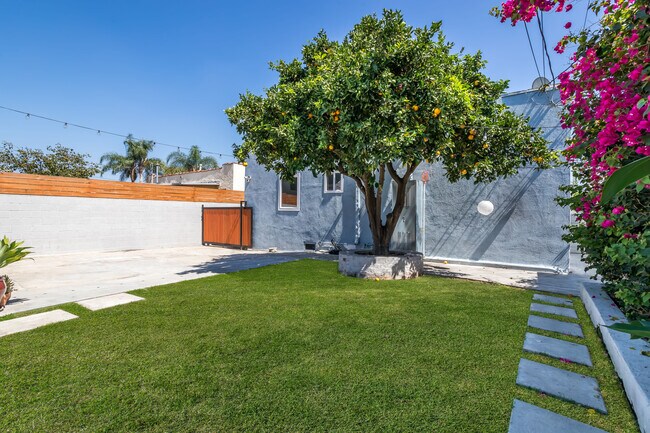 Backyard - 1711 S Ridgeley Dr