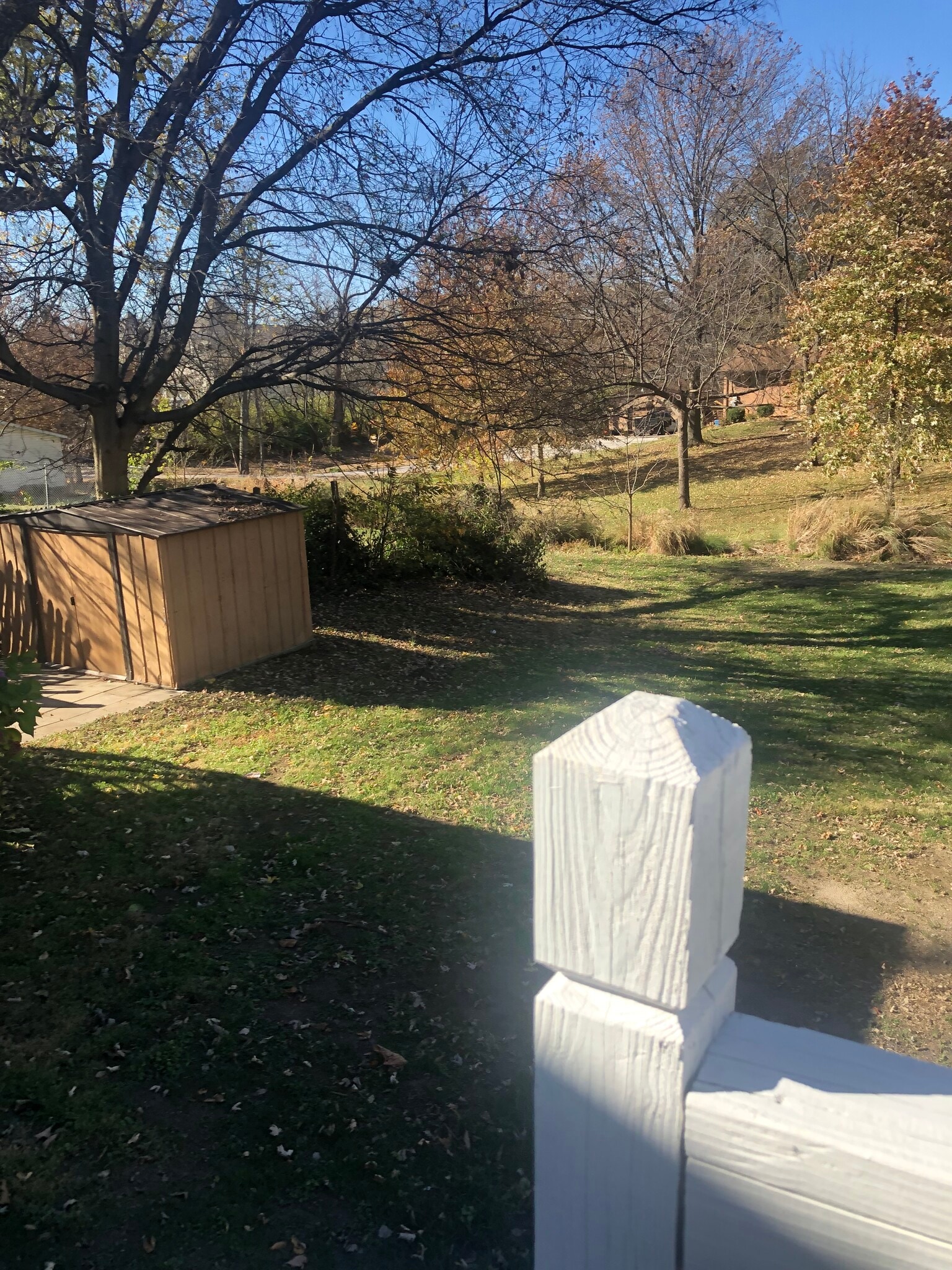 Backyard - 317 S Main St