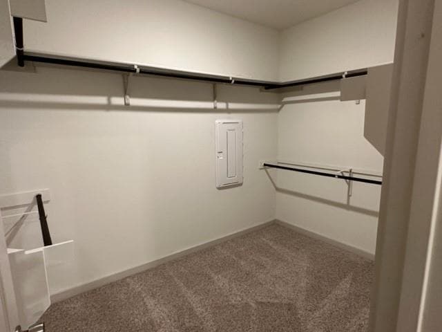 Building Photo - 326 Big Sandy Creek Dr