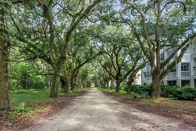 Walking path behind building - 60 Fenwick Hall Aly