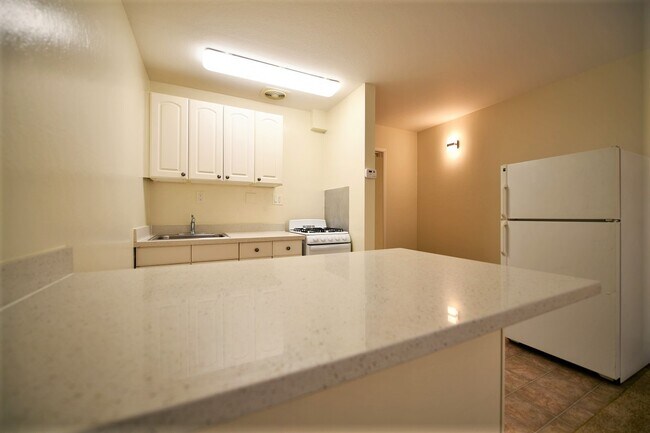 Building Photo - 1301 Gilman St