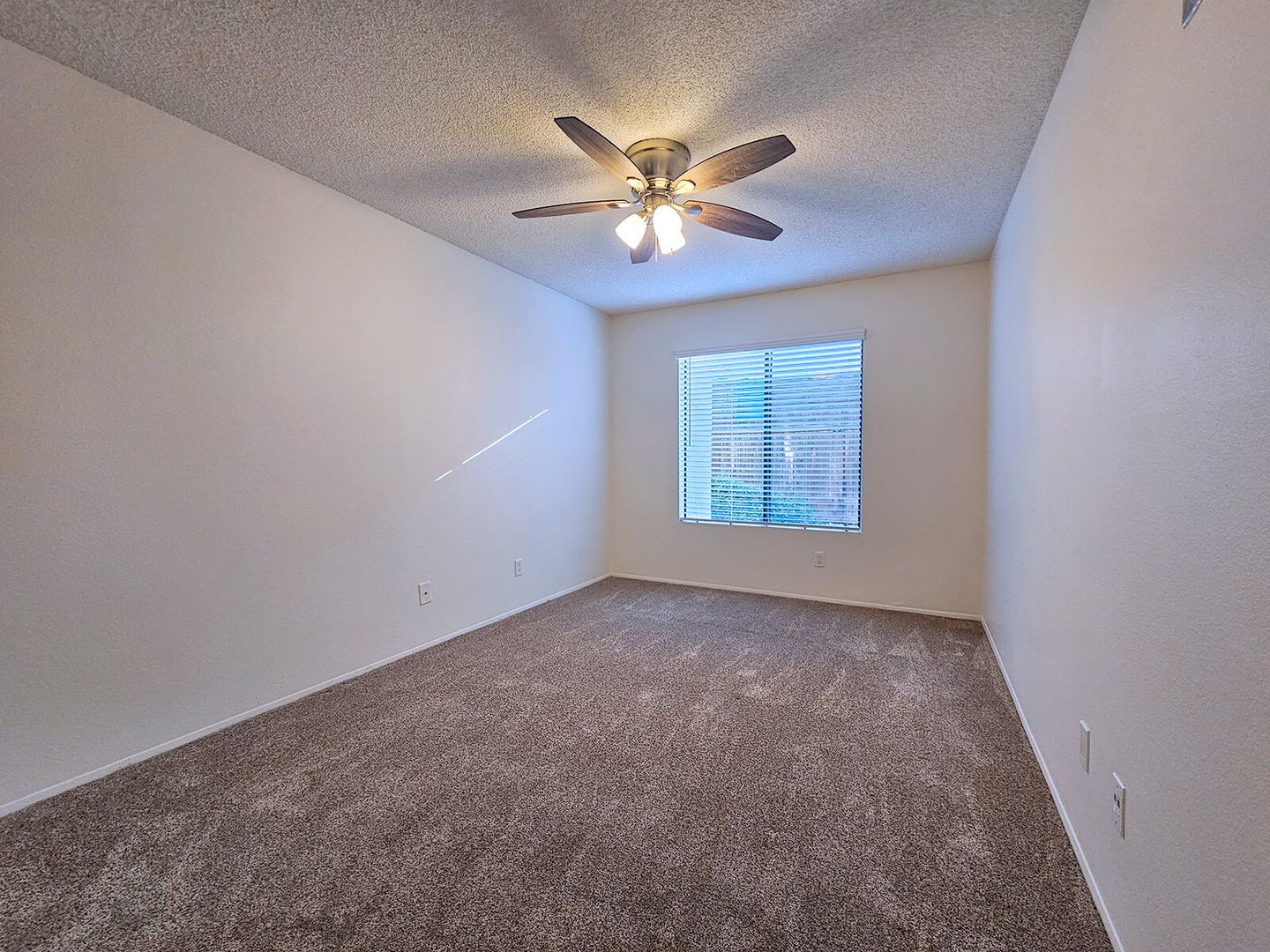 Interior Photo - The Vine Apts