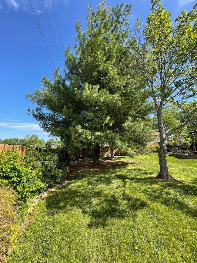 Building Photo - PRE-LEASING - Fully Furnished 6mo Short Term Rental in Ozark