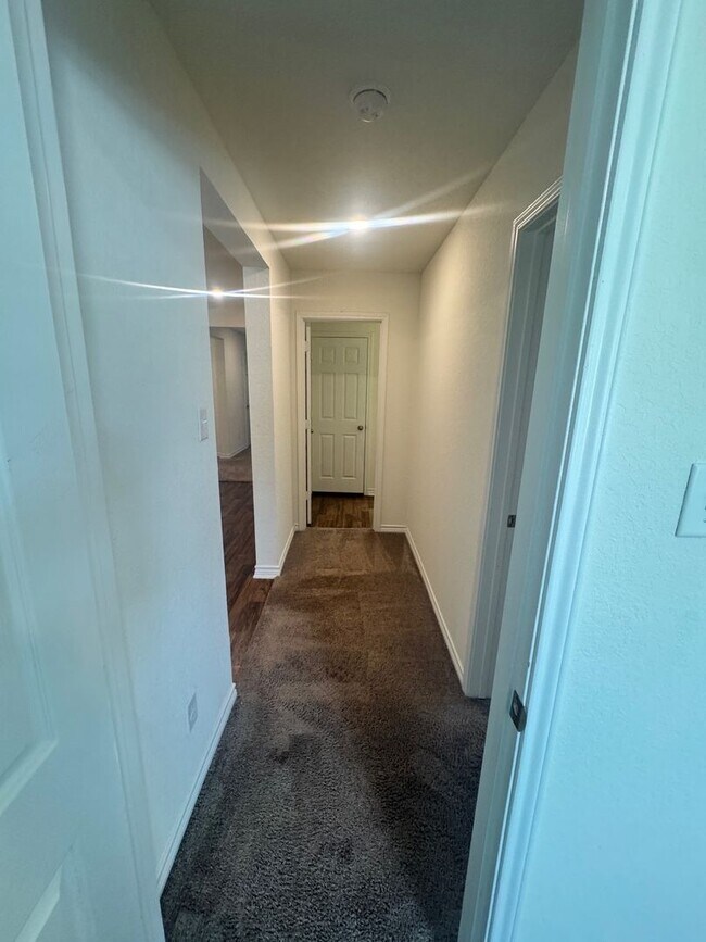 Building Photo - Coming Soon! Modern & Roomy 1 Story 4/2 in...