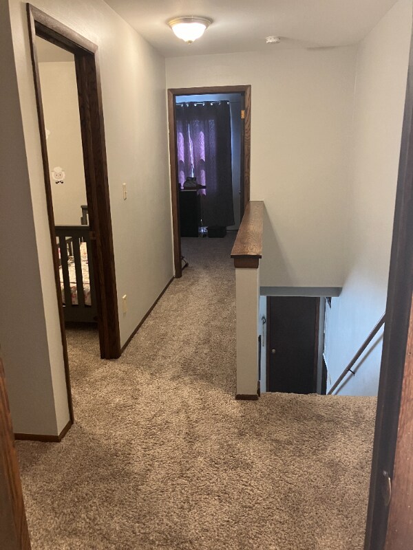 Building Photo - 2711 Albany Ct
